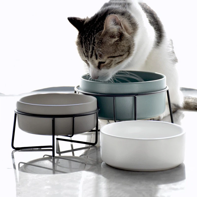 Supplier Of Safe Cat Food Bowl